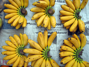 bananas for sale at a market